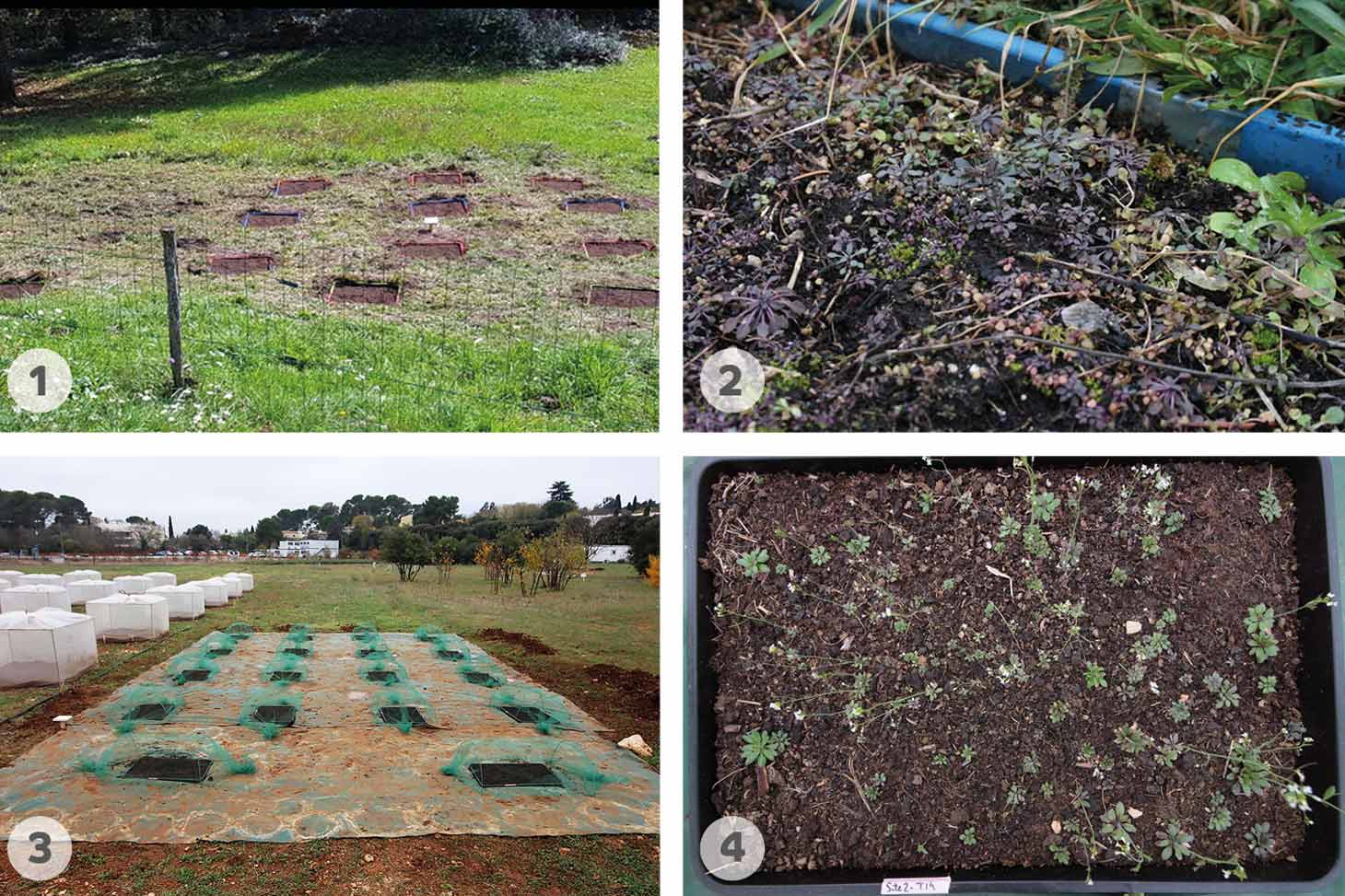 Expérience GrENE-net à Saint Just en Chevalet et Montpellier